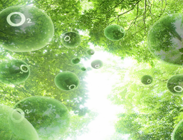 1770258026220544.jpg 1.jpg